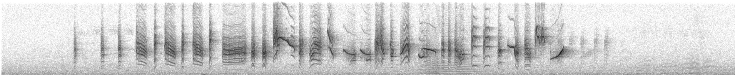 Берестянка західна - ML645098565