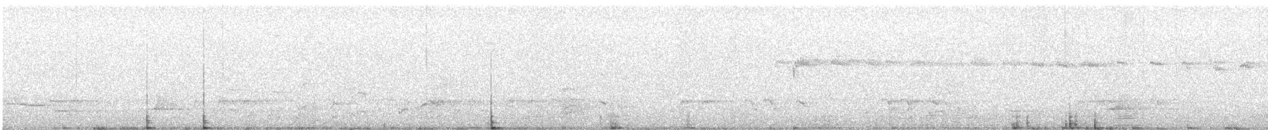 Streifenpanthervogel (substriatus) - ML645098750