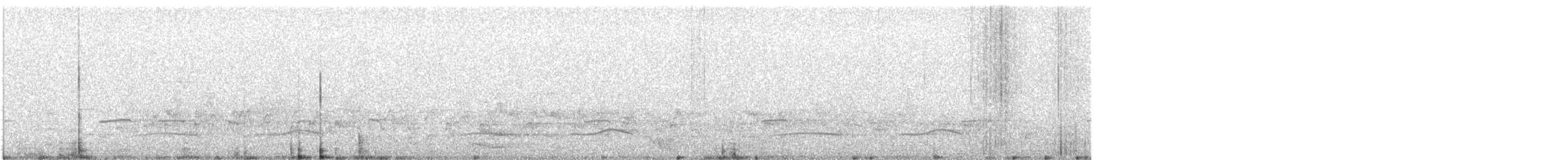 Weißbauch-Meisendickkopf - ML645098754