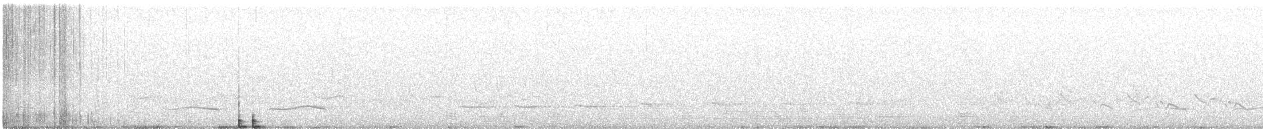 Weißbauch-Meisendickkopf - ML645098755