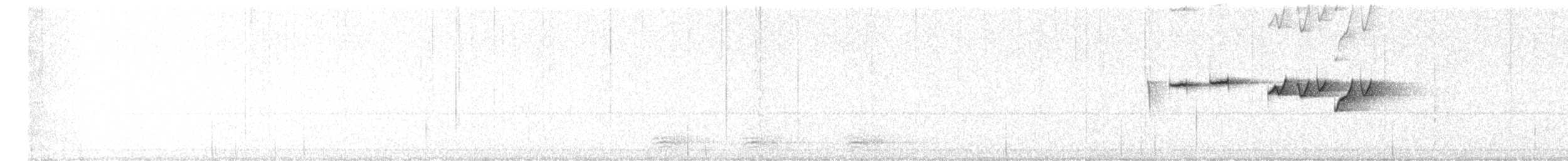 Taiwanzwergpfeifer - ML645098791