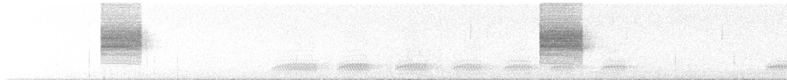 Taiwanzwergpfeifer - ML645098824