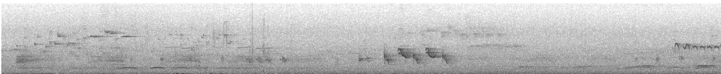 Nashornkuckuck - ML645098849