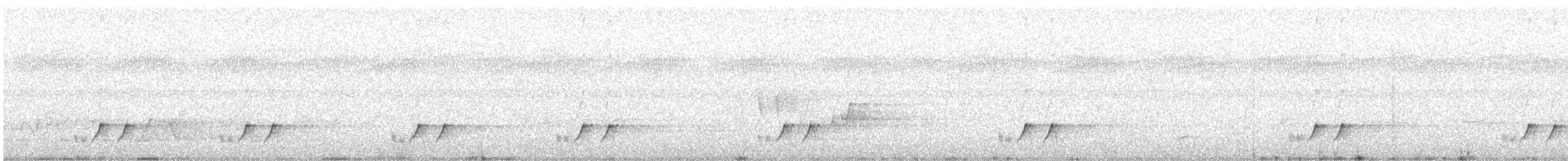 Streifenpanthervogel (substriatus) - ML645099001