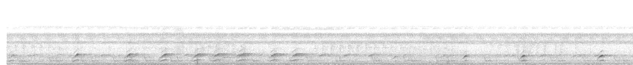 Large-tailed Nightjar - ML645099867