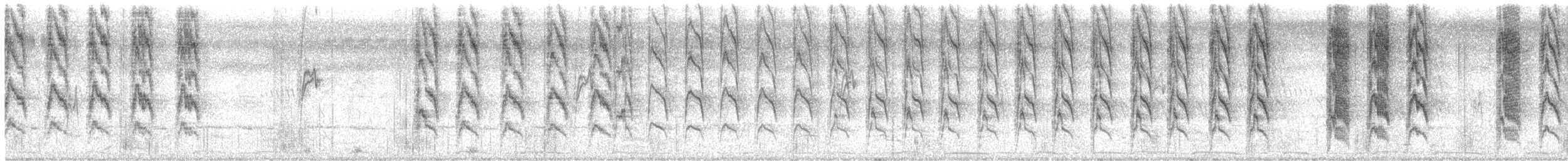 Rose-ringed Parakeet - ML645100660