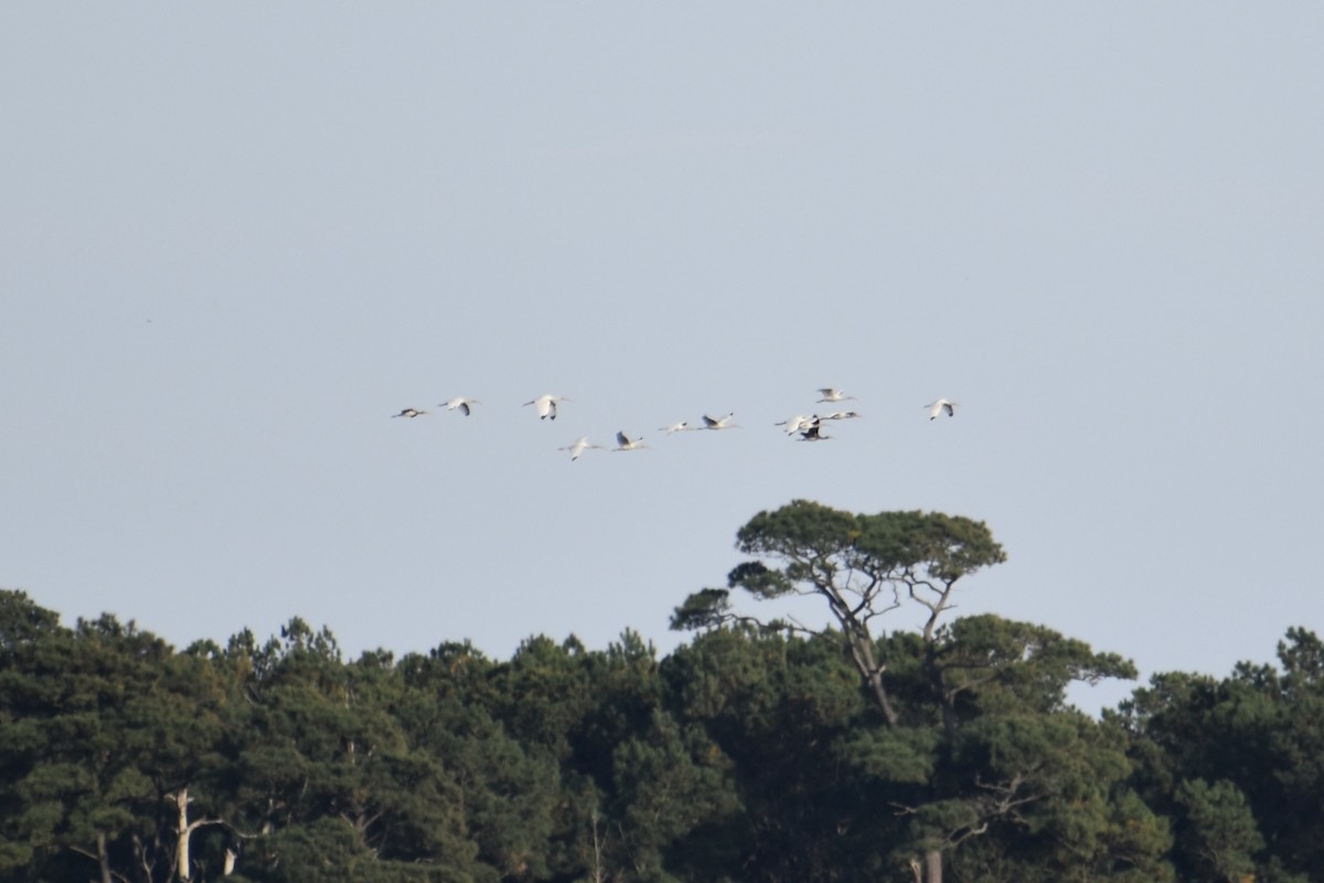 Ak Aynak - ML645101318