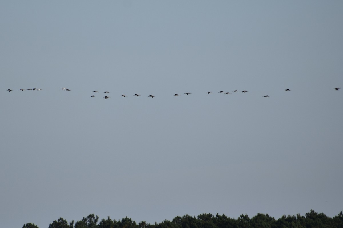 Ak Aynak - ML645101375