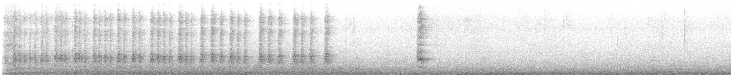 Puerto Rican Woodpecker - ML645101432