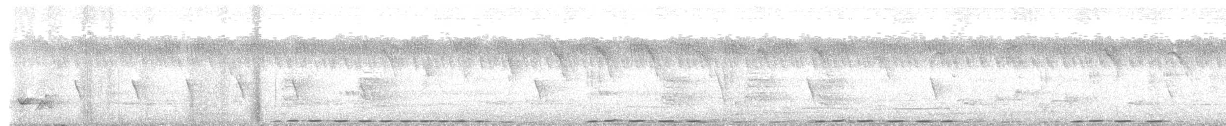 Coppery-tailed Coucal - ML645101676