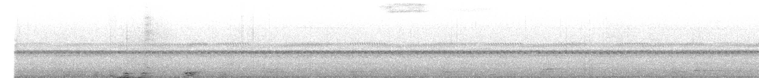 Black-and-white Owl - ML645101775