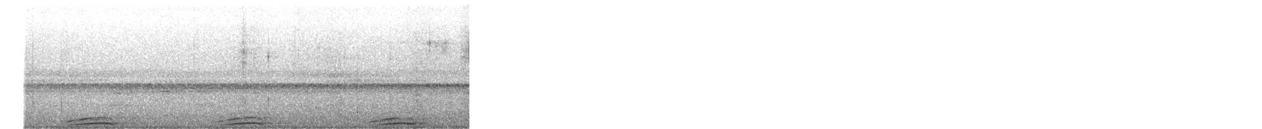 Black-and-white Owl - ML645101865