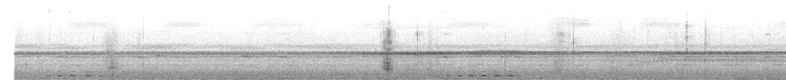Tropical Screech-Owl - ML645101955