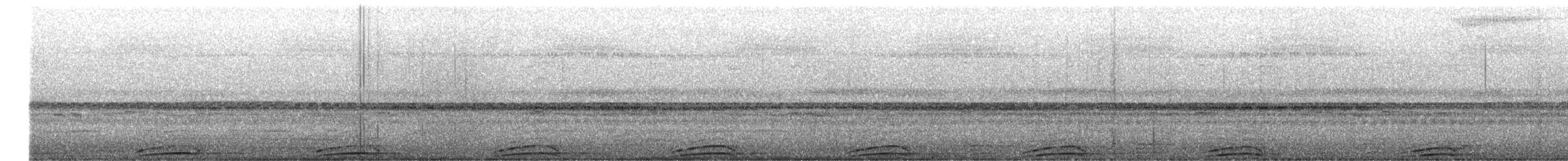 Black-and-white Owl - ML645101995