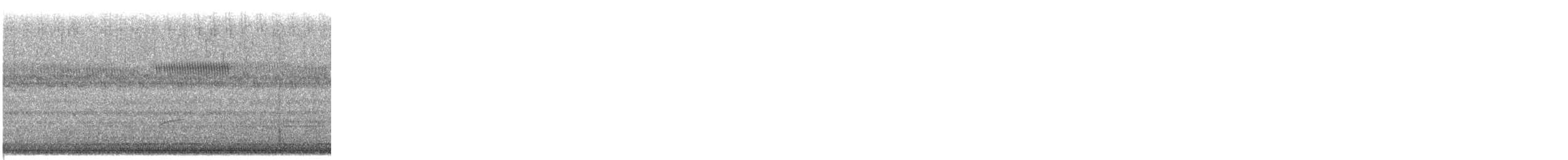 Swainson's Thrush - ML645102031