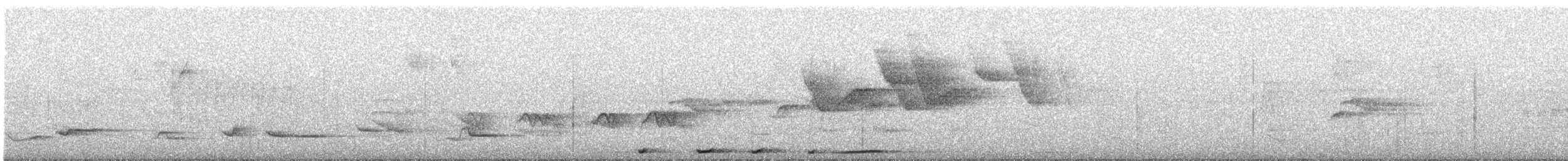 Plumbeous Pigeon - ML645102094