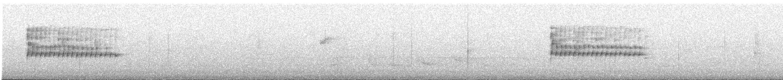 Mottle-cheeked Tyrannulet - ML645102159