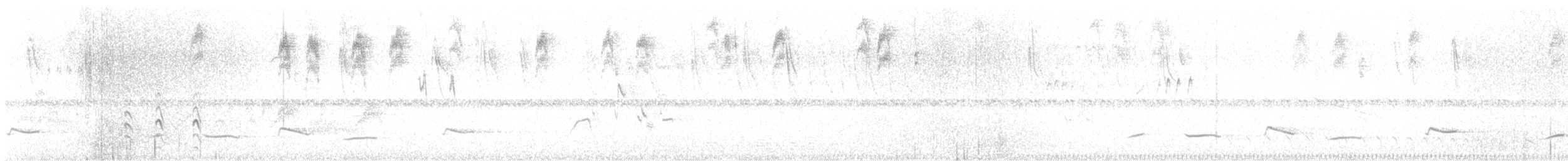 Yellow-backed Oriole - ML645102421