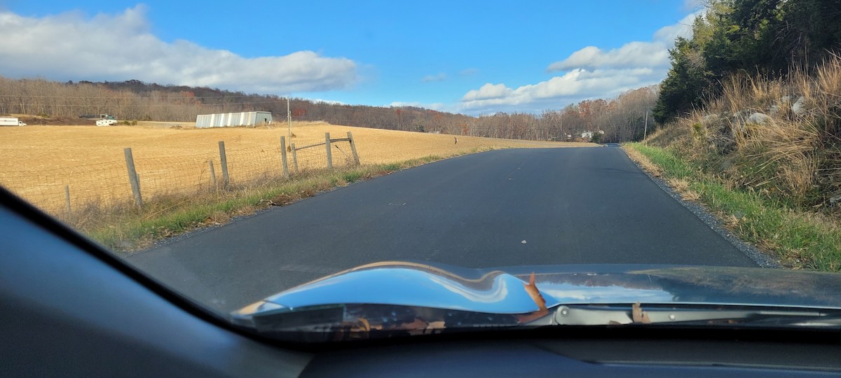 Орлан білоголовий - ML645102996