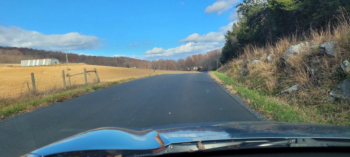 Орлан білоголовий - ML645102998