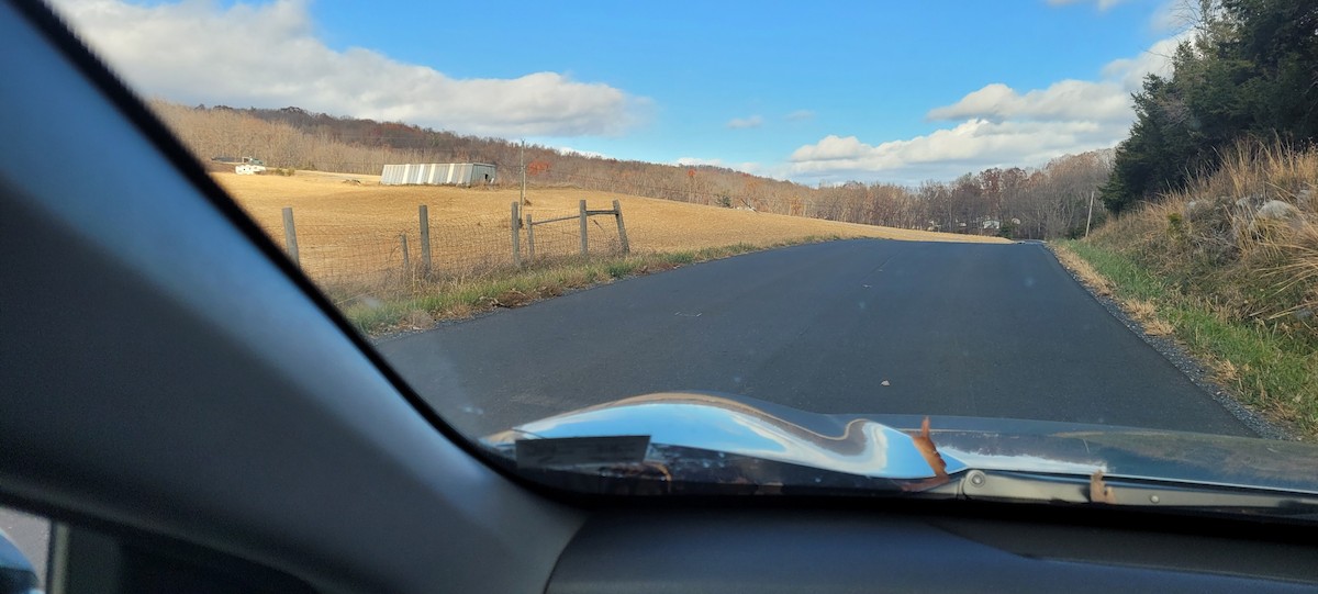 Орлан білоголовий - ML645103000