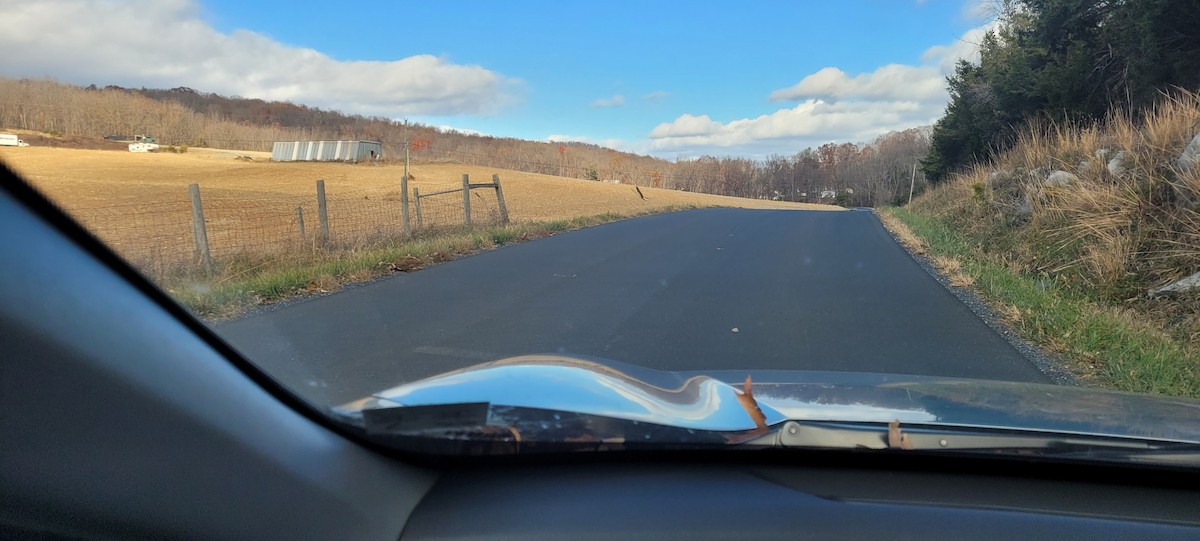 Орлан білоголовий - ML645103001