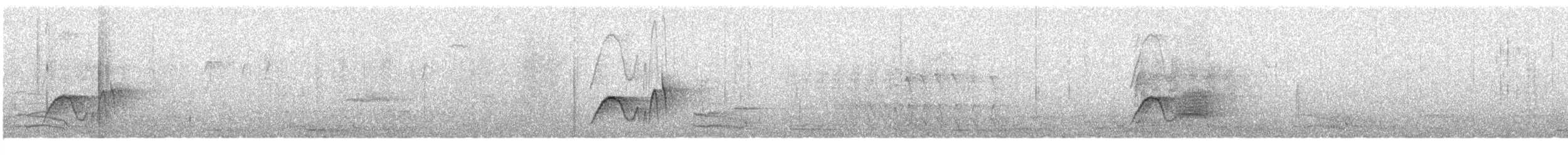 Светлобрюхий фиби - ML645104300