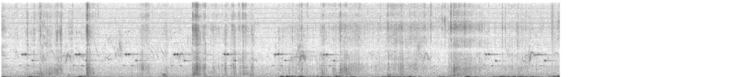 Пёстрая зебрина - ML645104689