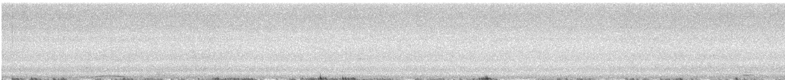 Южная белолицая совка - ML645104752