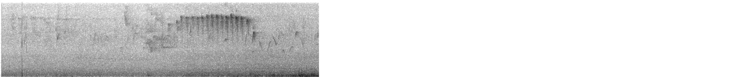 Рыжий щетинкохвост - ML645104970