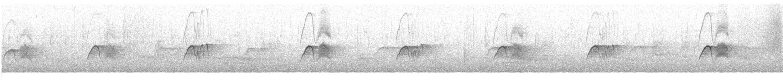 Светлобрюхий фиби - ML645105045