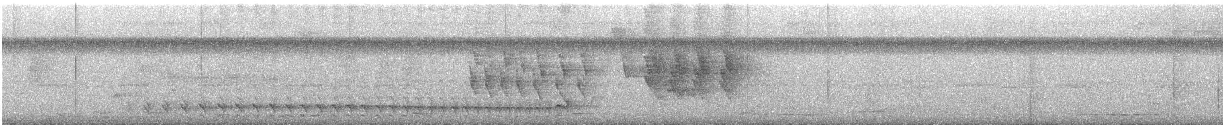 Batará Barrado - ML645105542