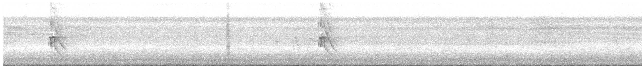 Sosyal Tiran - ML645105801