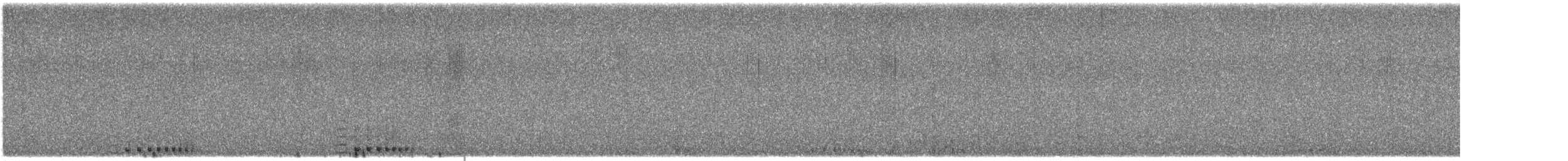 Sandhill Crane - ML645106029