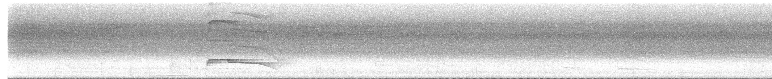 Gray-lined Hawk - ML645106204