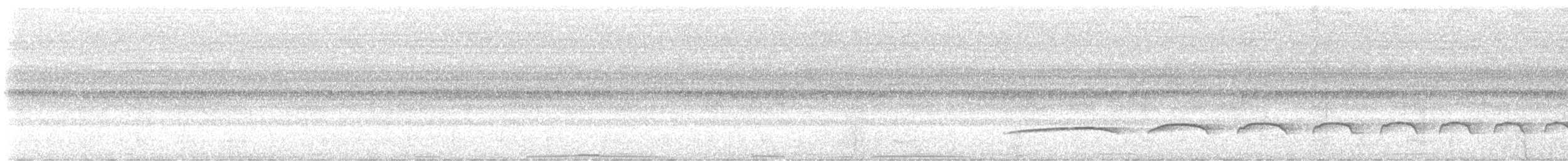 Tufted Antshrike - ML645106364