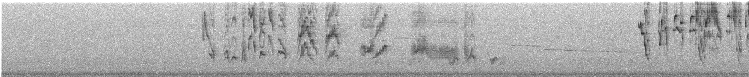 thrush sp. - ML645106387