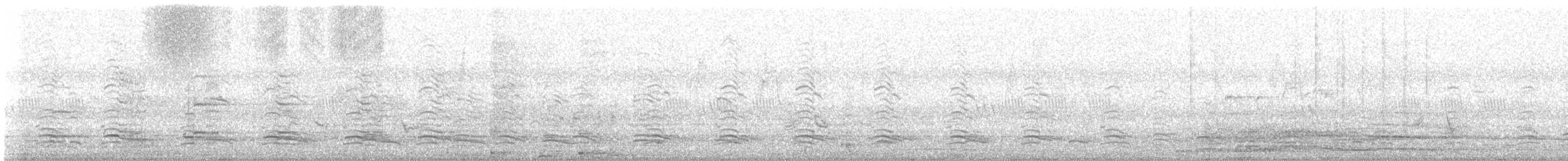 Red-naped Ibis - ML645106750