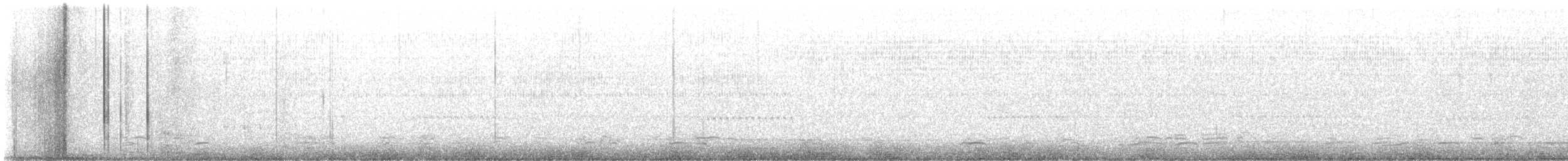 Snow Goose - ML645106773