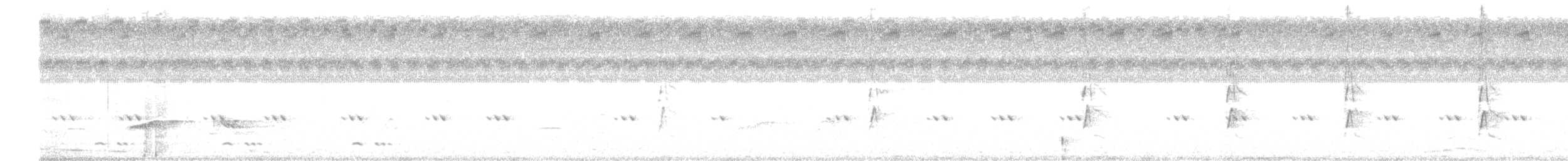 Lesser Whistling-Duck - ML645106993