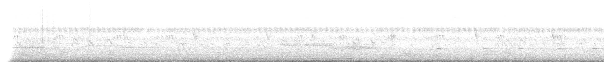 Gray Francolin - ML645107246