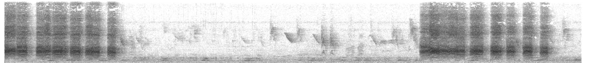 Gray Treepie - ML645107423