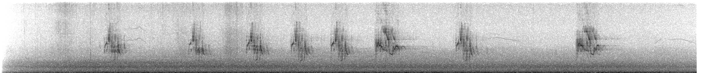 White Wagtail - ML645107986