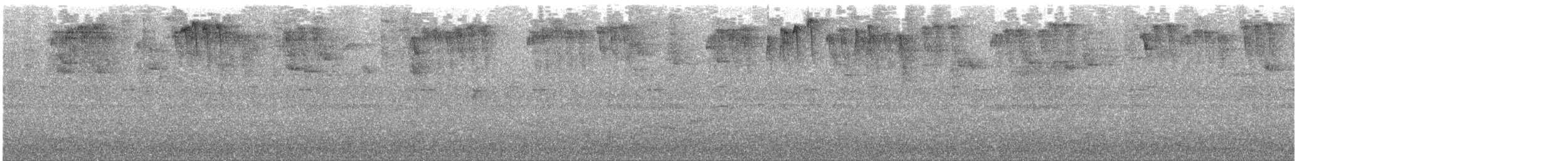 Ruddy Treerunner - ML645108080