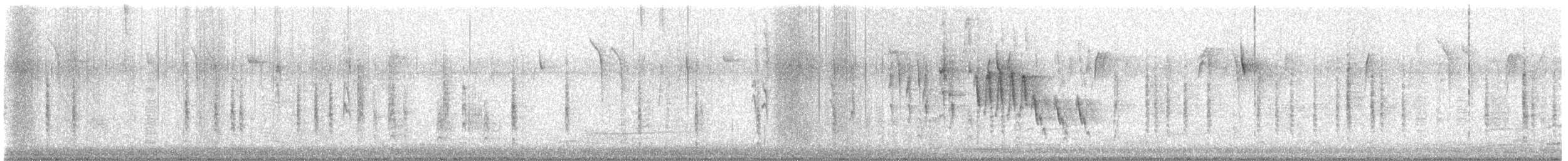 Northern House Wren - ML645108350