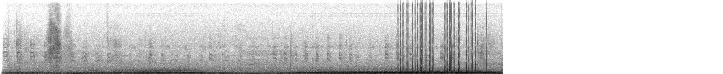 Пастушок каліфорнійський - ML645108996