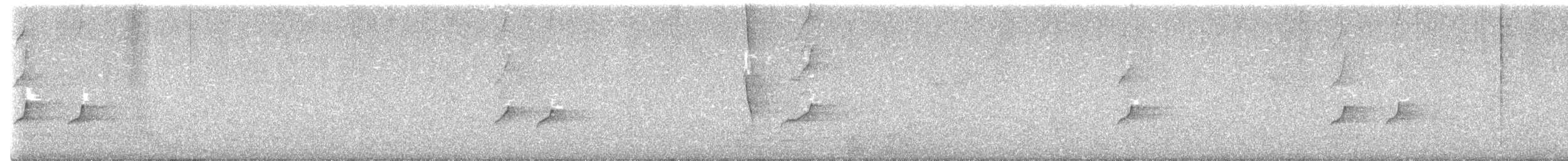 Graudrongo - ML645109167