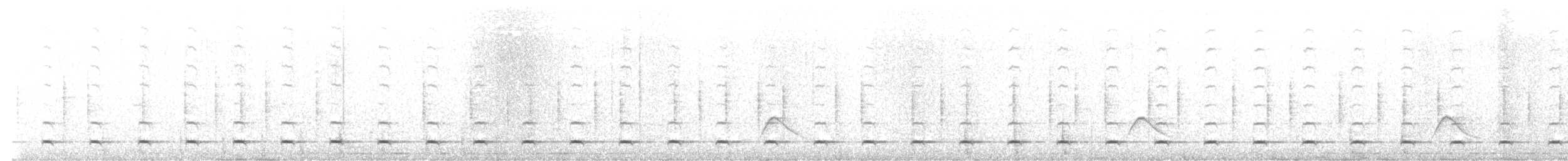 Australzwergkauz - ML645109376
