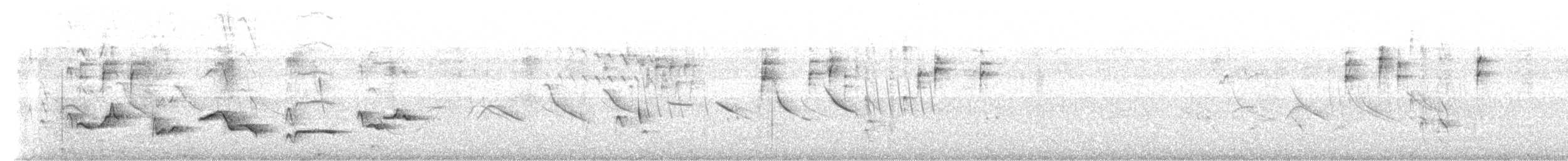 Goldbauch-Kernknacker - ML645109410