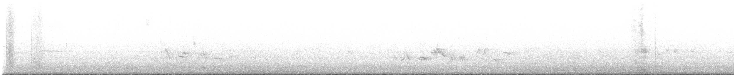 Townsendklarino - ML645109553